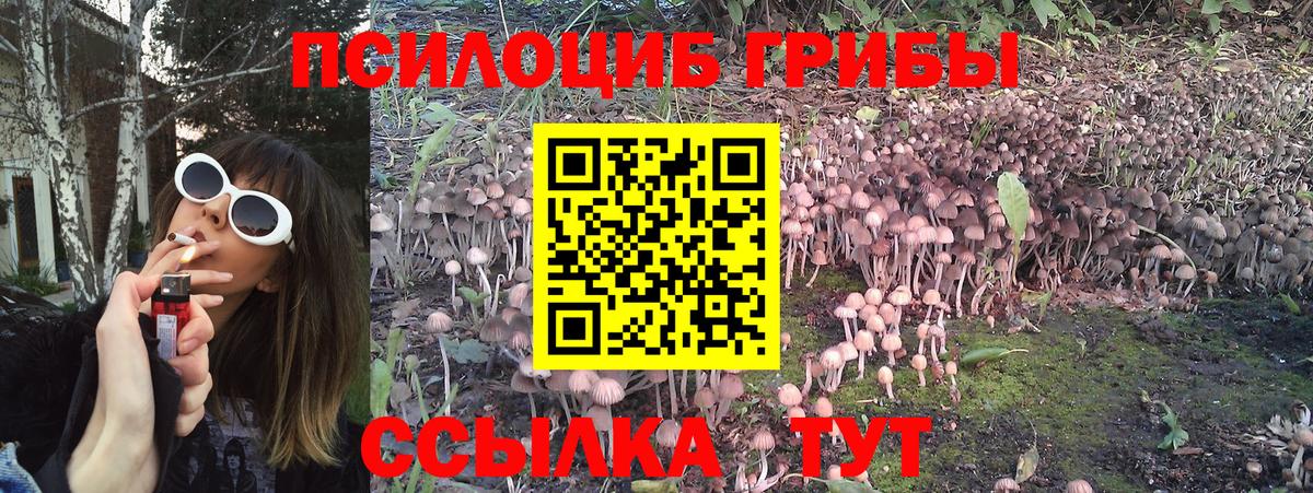 Галлюциногенные грибы Psilocybe  Псилоцибиновые грибы ЛСД  Вход с VPN  Серпухов 