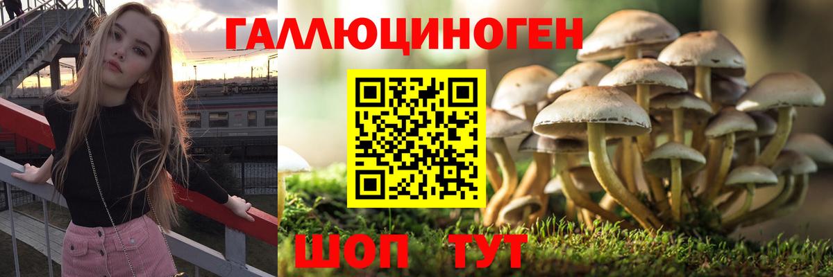Галлюциногенные грибы мицелий Серпухов